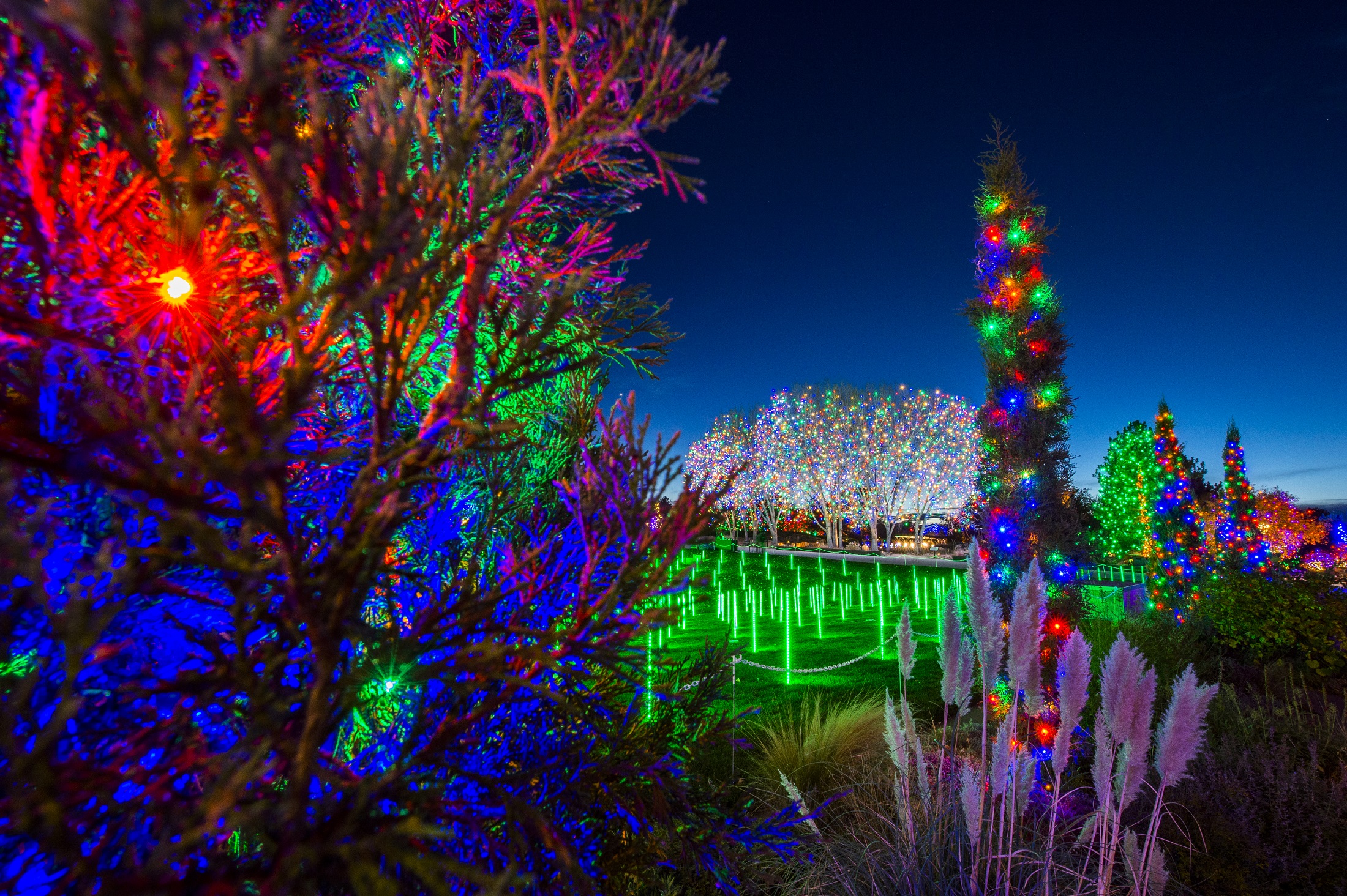 best 28 blossom center christmas lights christmas in best 28 blossom center christmas lights christmas in